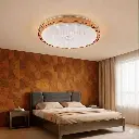 image_1569353f.webp