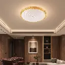 image_b744156.webp